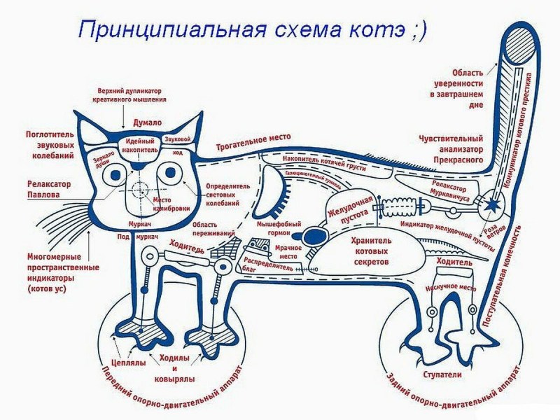 Математика рабочая тетрадь 3 класс 2 часть страница 7