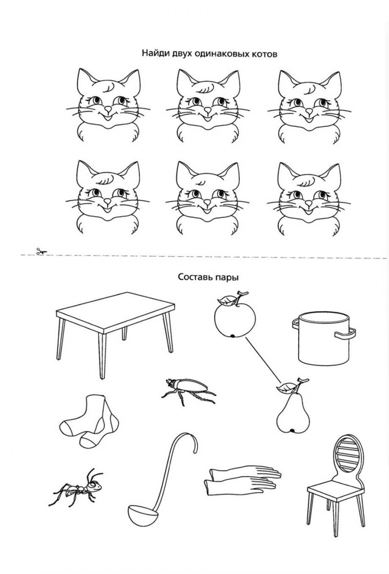 Три кота задания