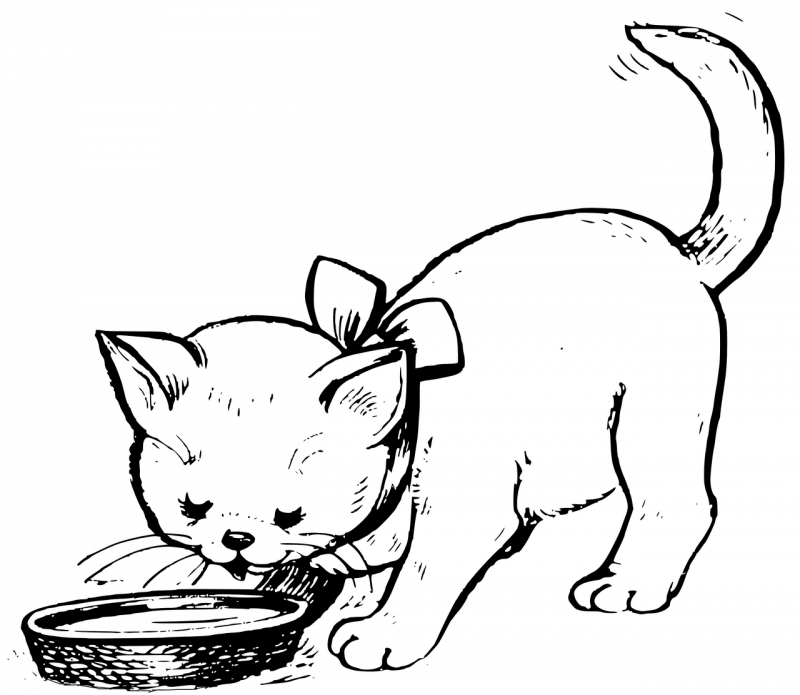 Кошки. Раскраска