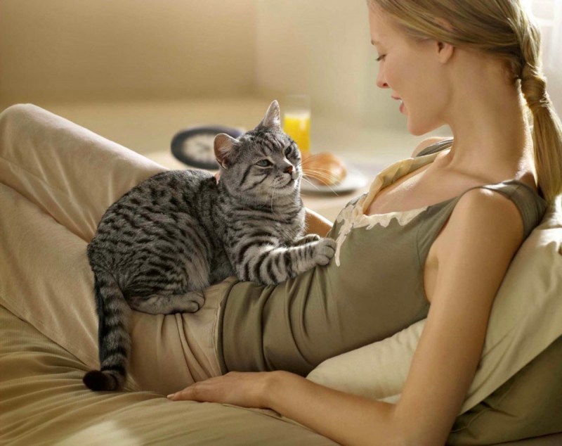 Кошка с хозяйкой