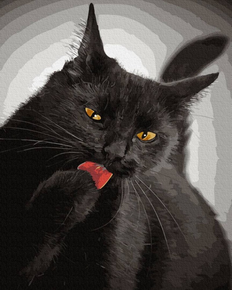 This little Black Cat with its Eyes of Gold