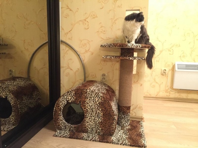 Домик для кошки из ДСП