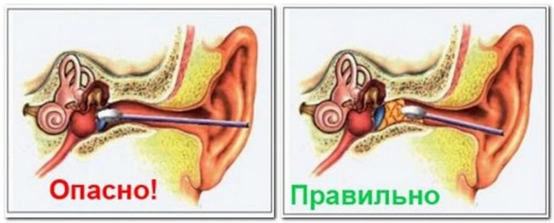 Как почистить уши кошке