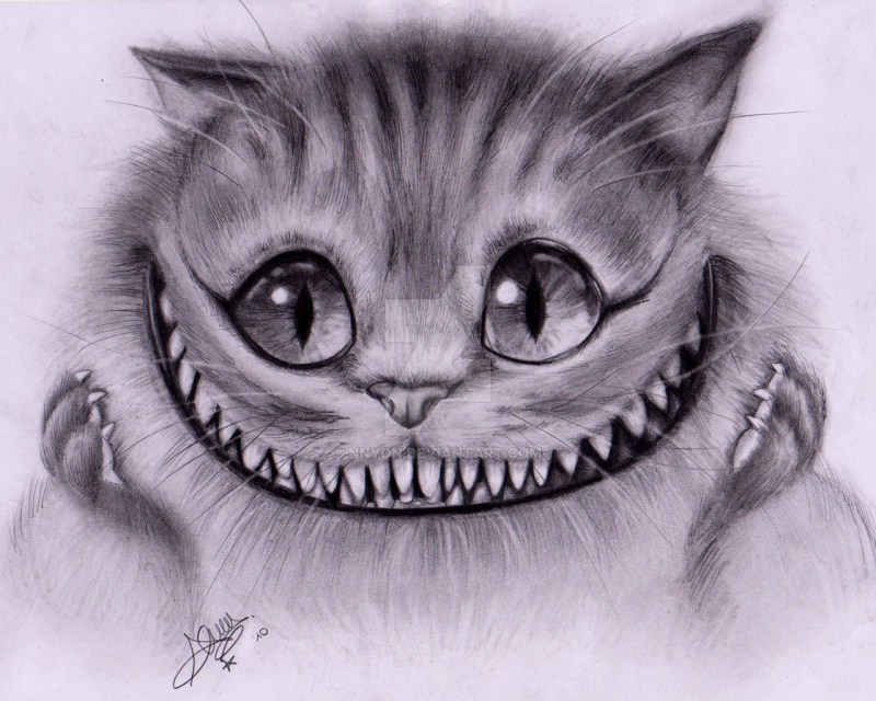 Кошка карандашом