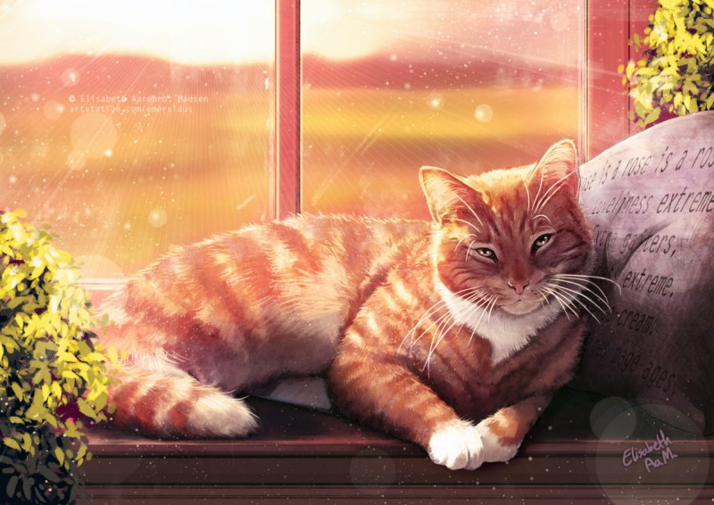 Кот в цветочном горшке