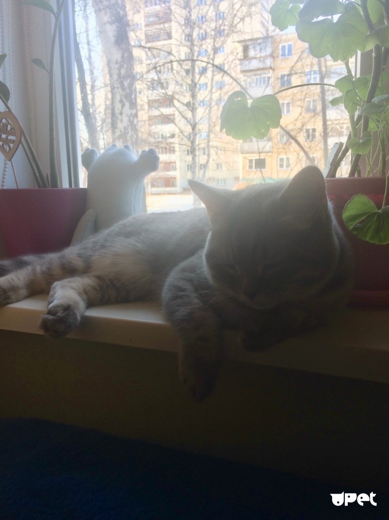 Мария Павлова дуэт