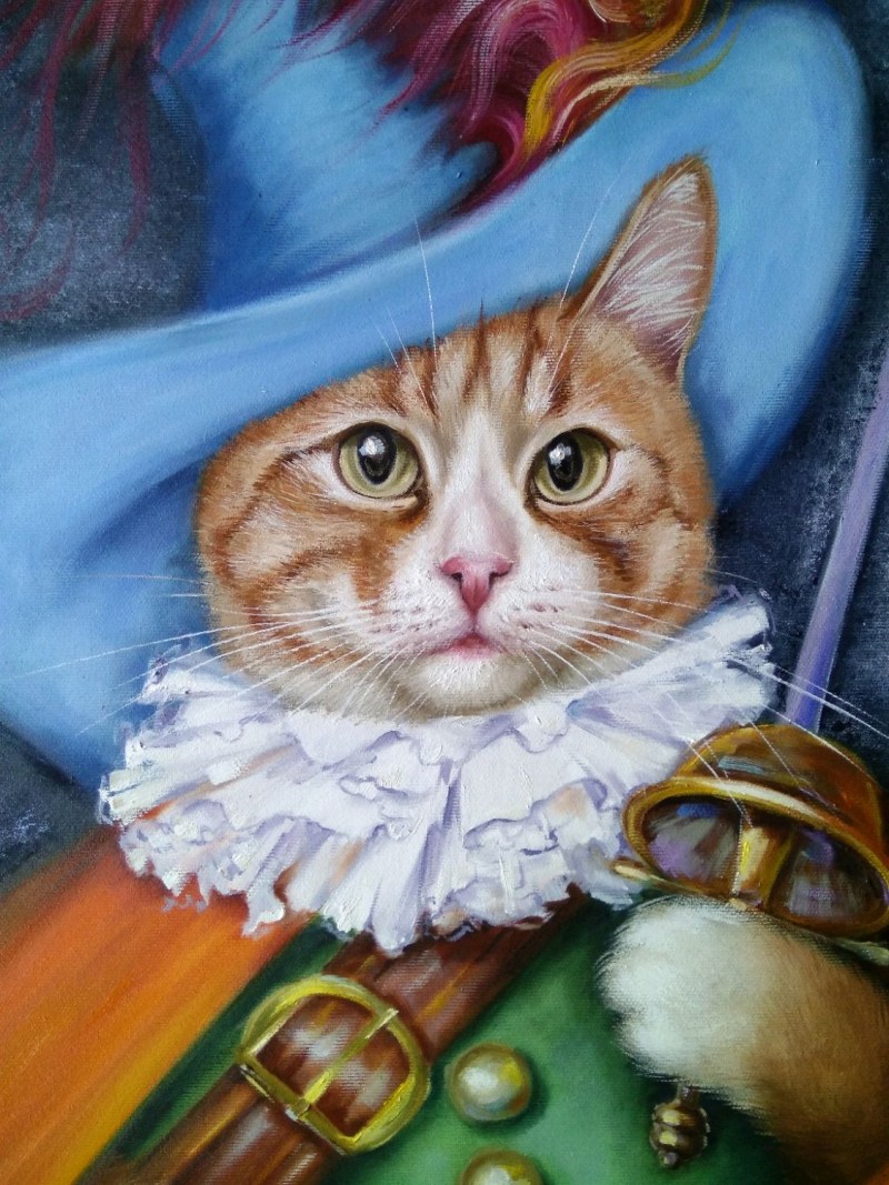Коты маслом