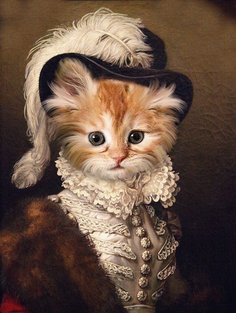 Jennifer Gennari коты