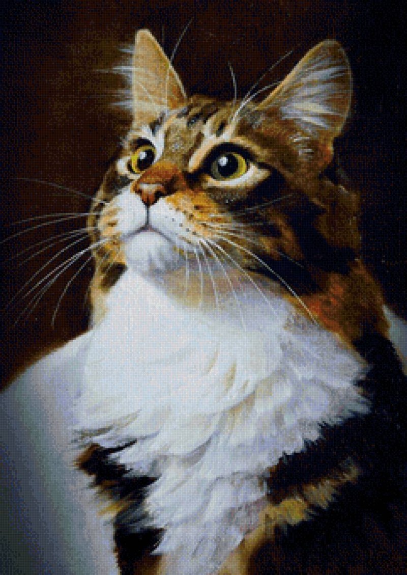 Портрет кота