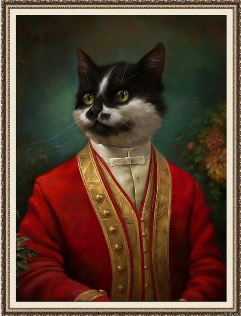 Портрет кошки