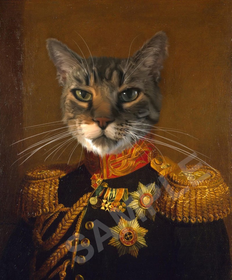 Портрет кота