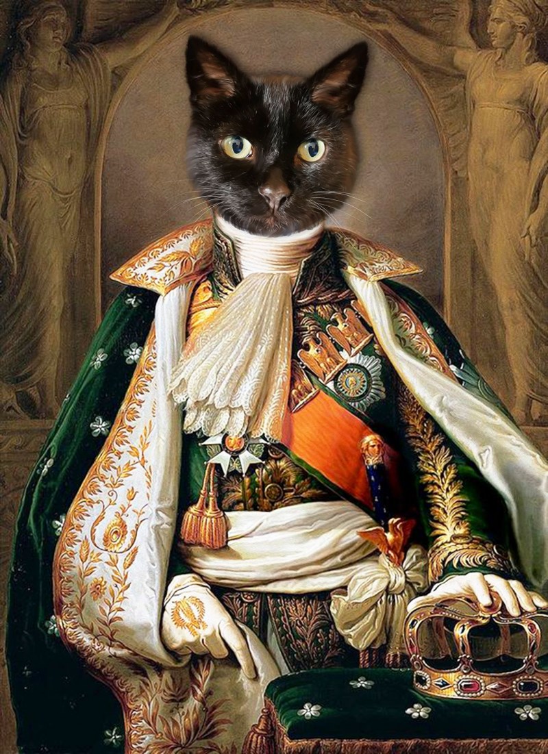 Портреты с котами
