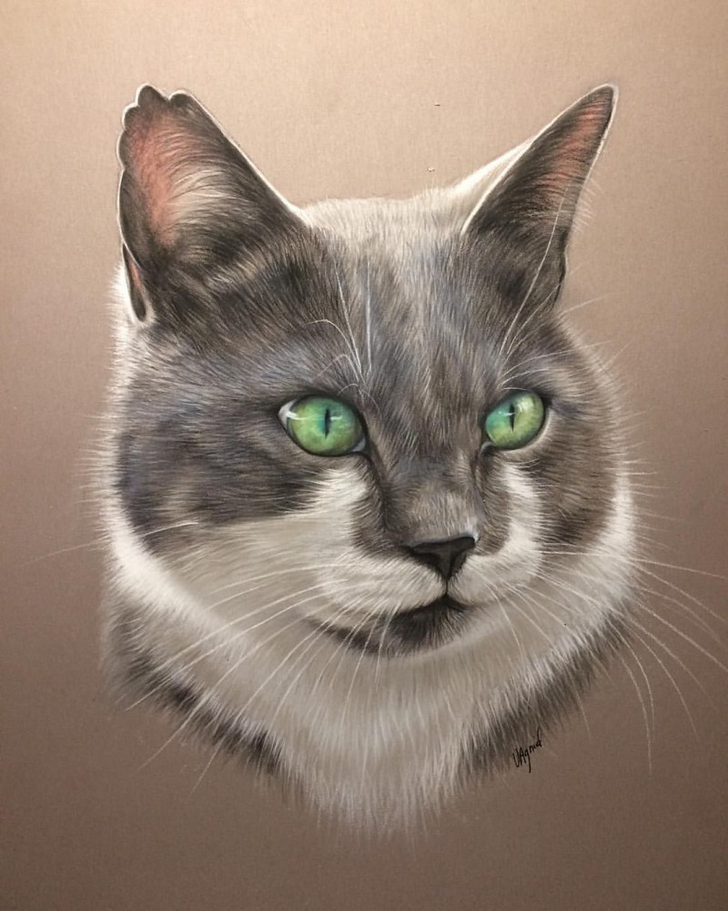 Портрет кота маслом