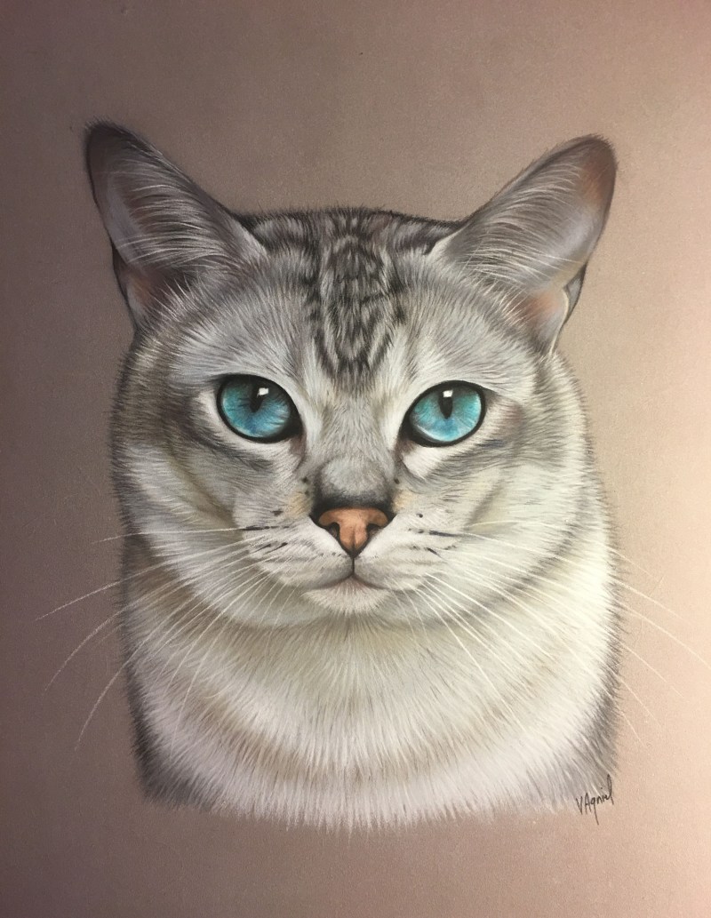 Аристократические коты