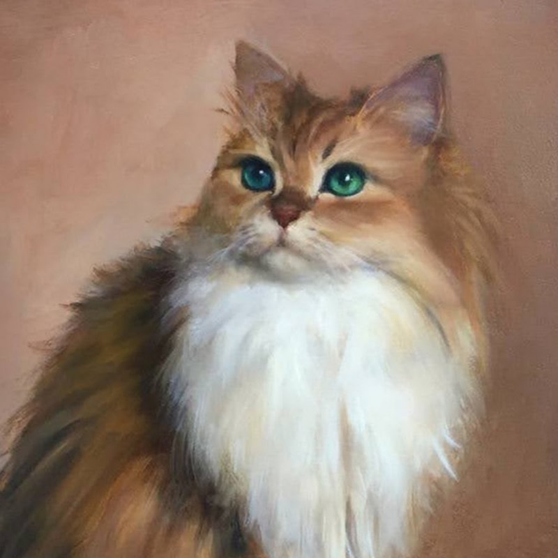 Фотопортреты котов