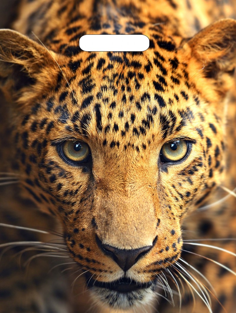 Leopard s/4 панно коричневый 996*500 (из 4-х плиток) sw9leo21