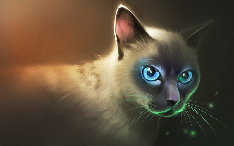 Сиамская кошка