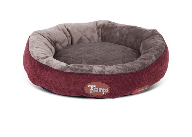 Лежак для собак Scruffs Highland Box Bed s 50х40 см