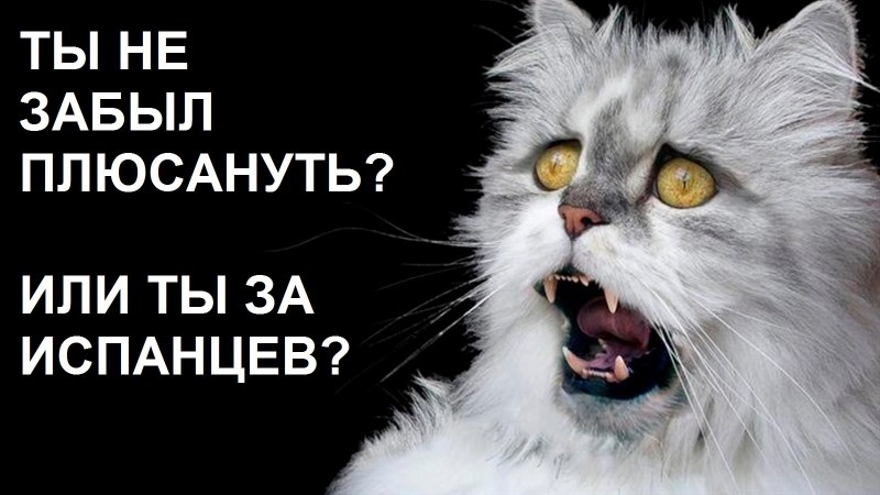 Испуганный кот Мем