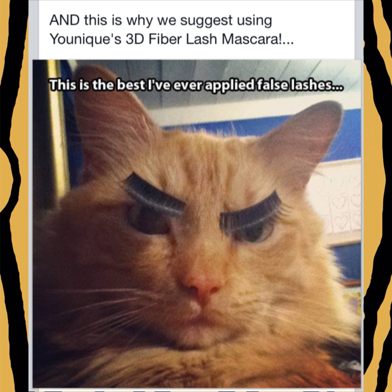 Котенок с бородой