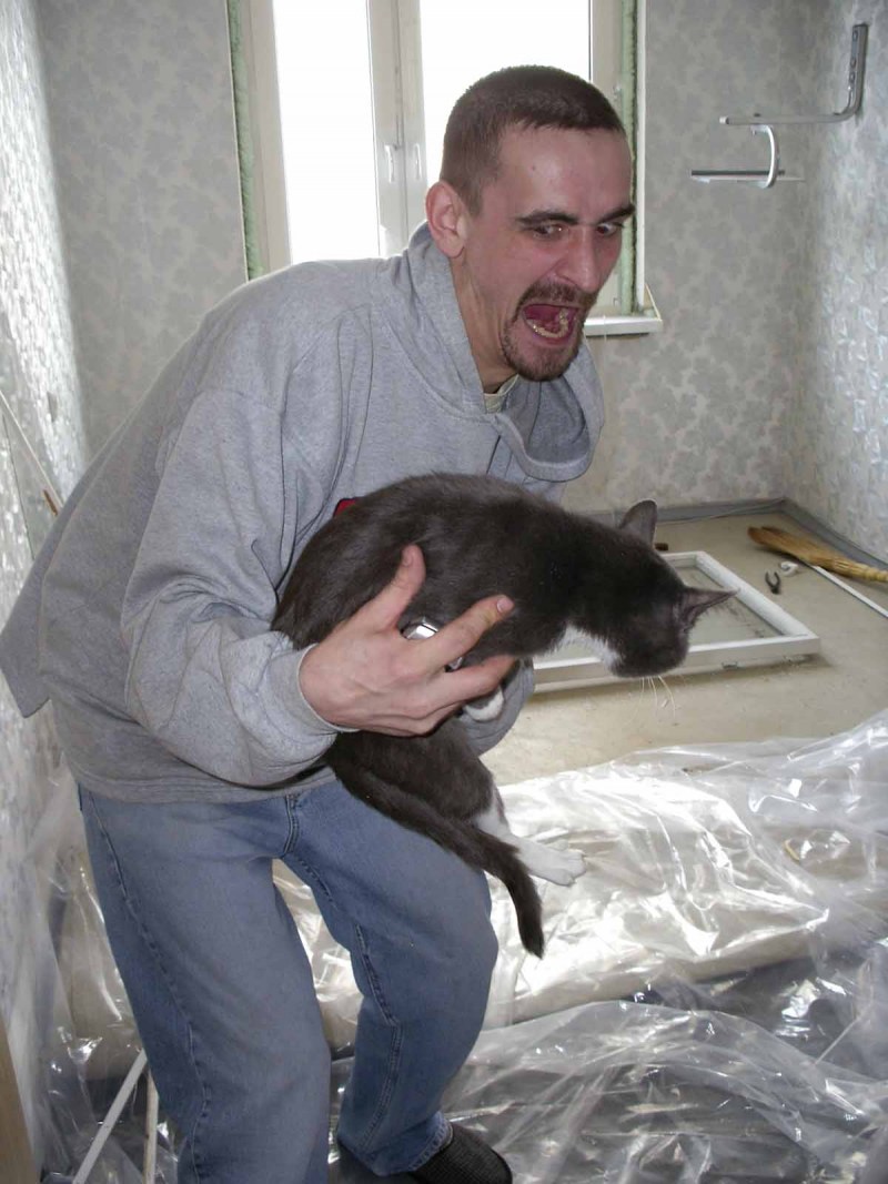 Кота за шкирку