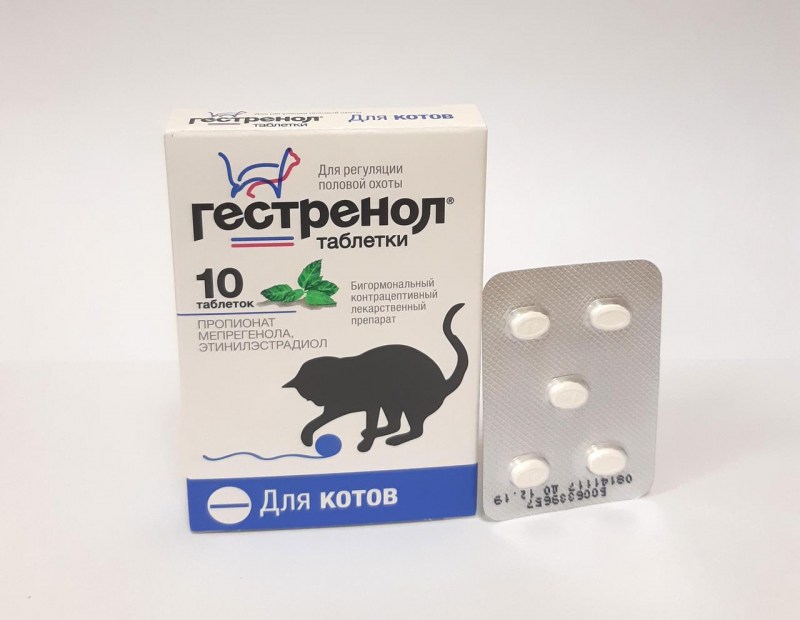 Эвтаназия (усыпление) кошек.