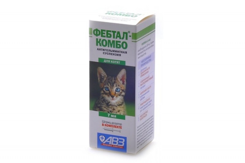 Serene um для кошек