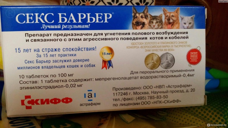 Кот и контрацептивы
