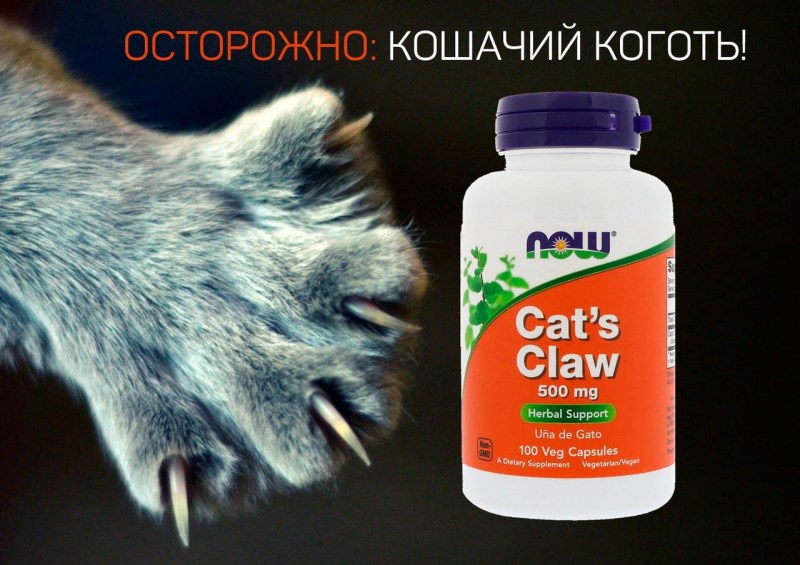 Таблетки для котов от гуляния Гестренол