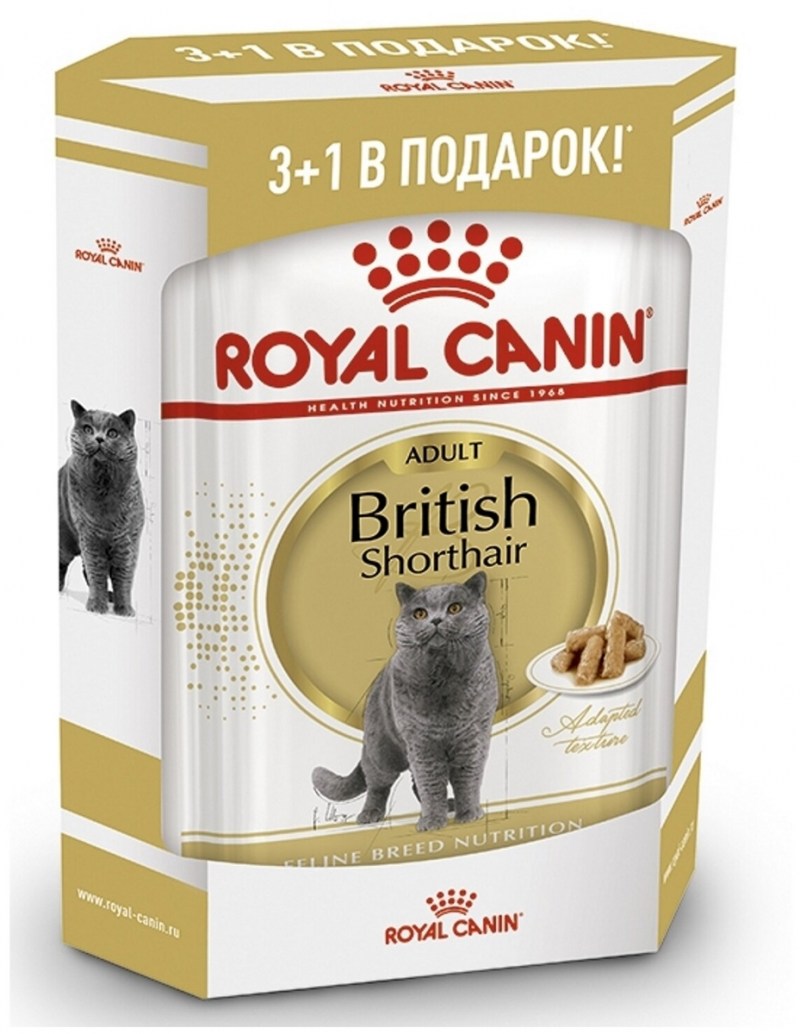 Royal Canin Kitten Maine Coon