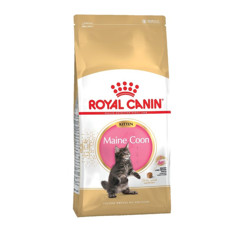 Royal Canin British Shorthair Kitten