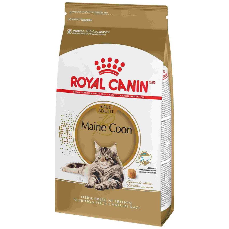 Royal Canin Maine Coon 31