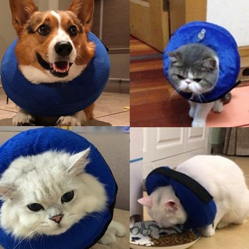 Мягкий воротник для кота