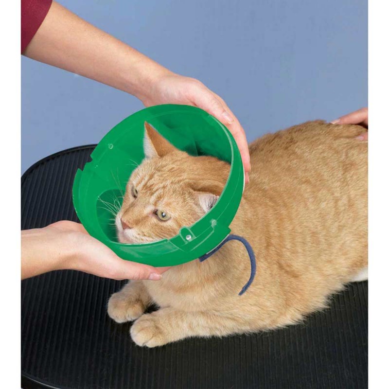 Воротник для кота