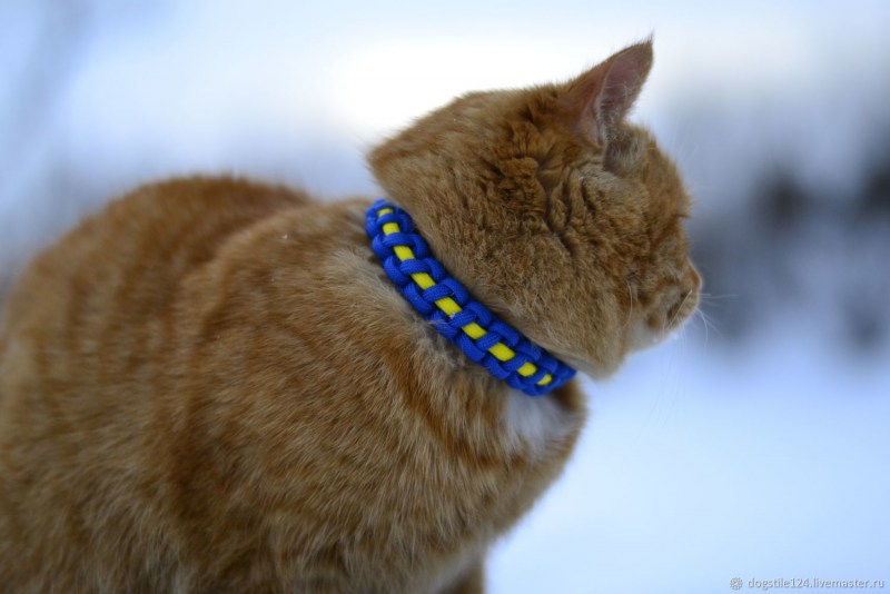 Защитный ошейник для кошек