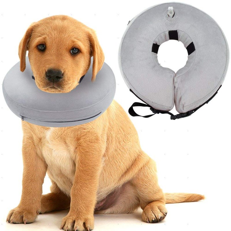 Beeztees Plastic Dog cap защитный воротник