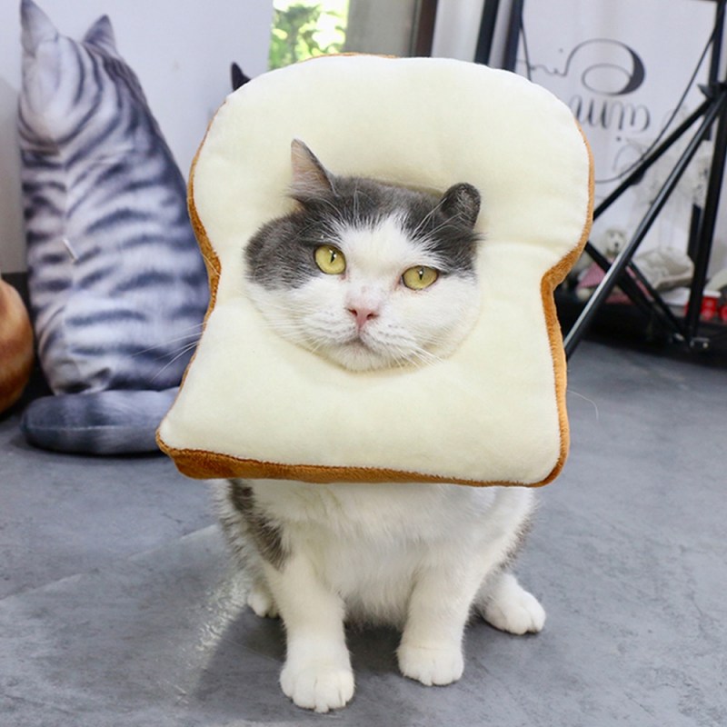 Мягкий воротник для кота