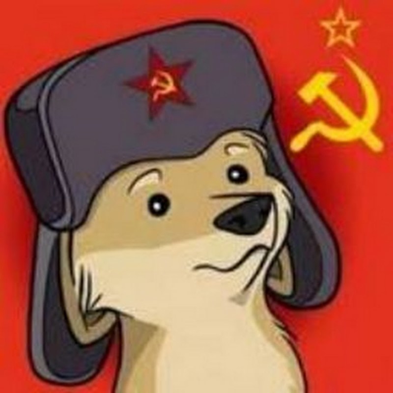 Кот с высунутым язычком