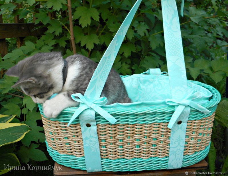 Домик для котов из коробки