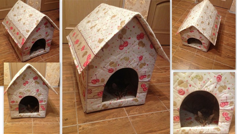Коробка с котятами
