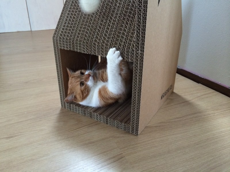 Домик для кота из картонной коробки
