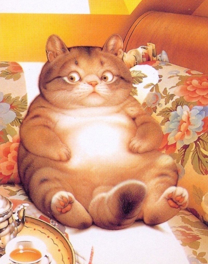 Макото Мурамацу (Makoto Muramatsu)