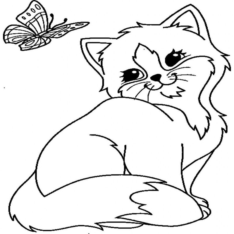 Котенок раскраска для детей
