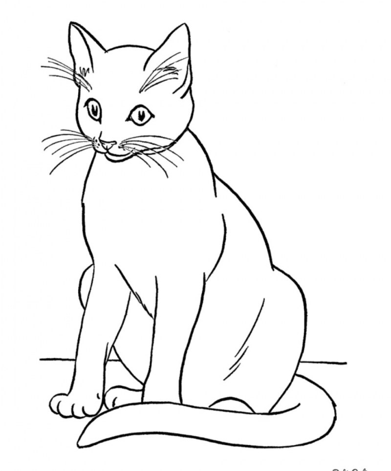 Кот Король раскраска