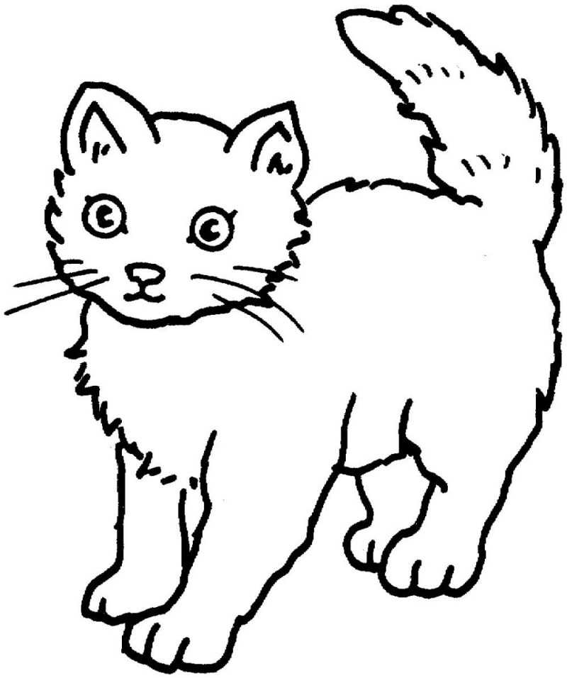 Раскраски котики обрезки