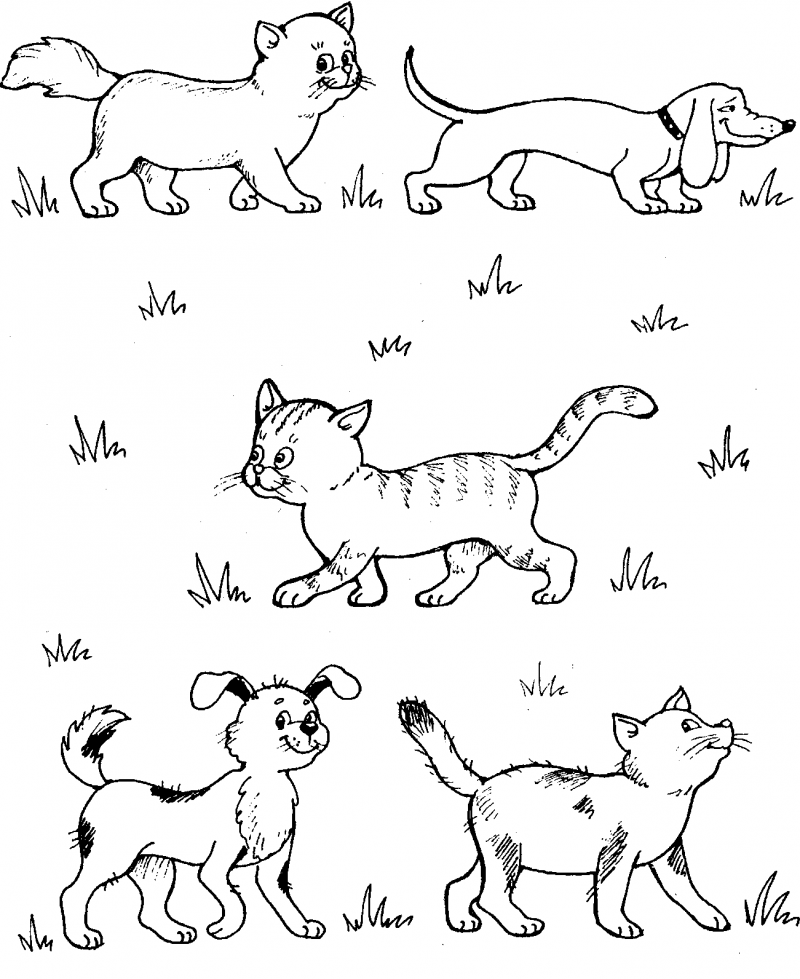 Котенок для рисования