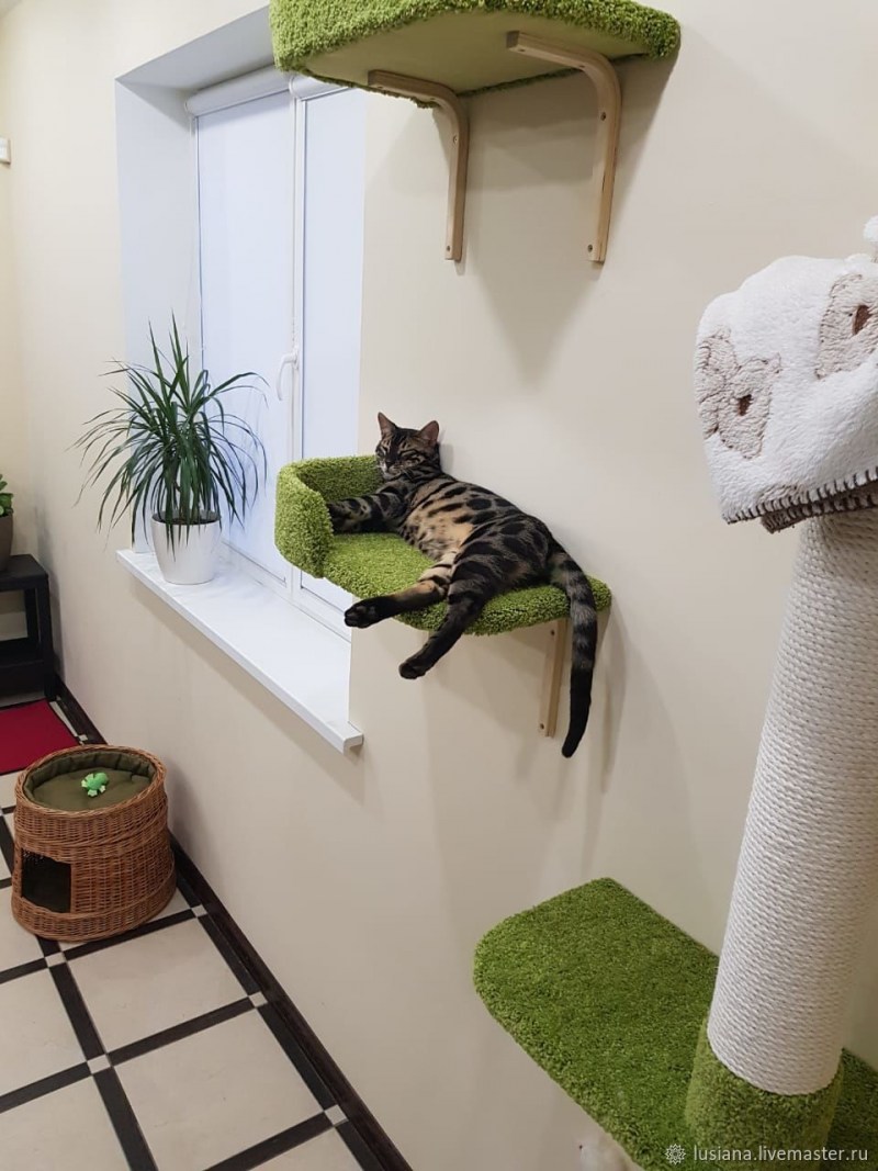 Кошачий домик настенный