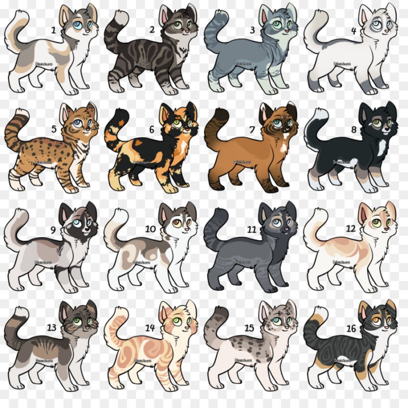 Окрасы коты Воители породы