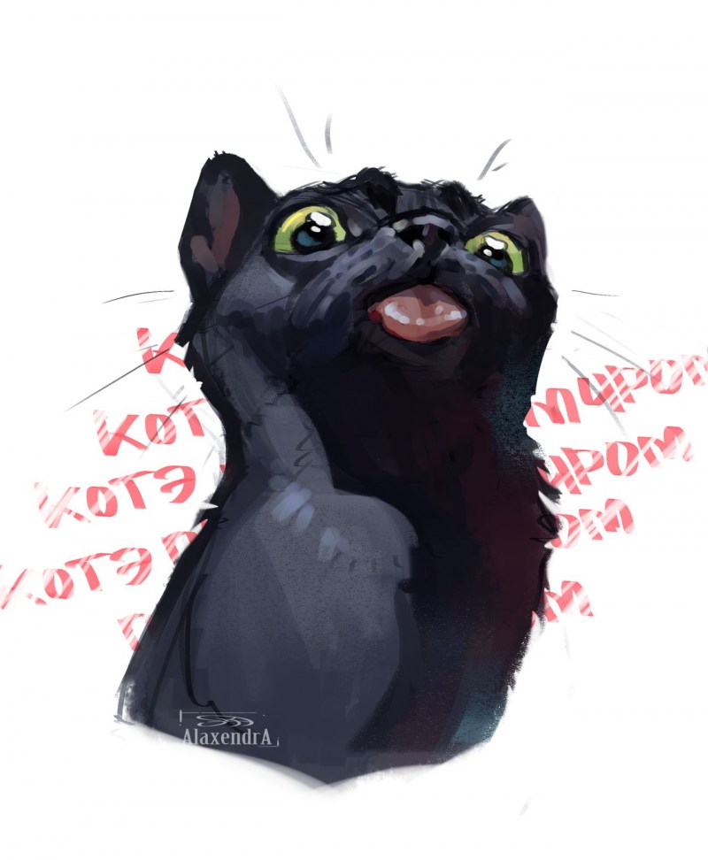 Кот с высунутым языком