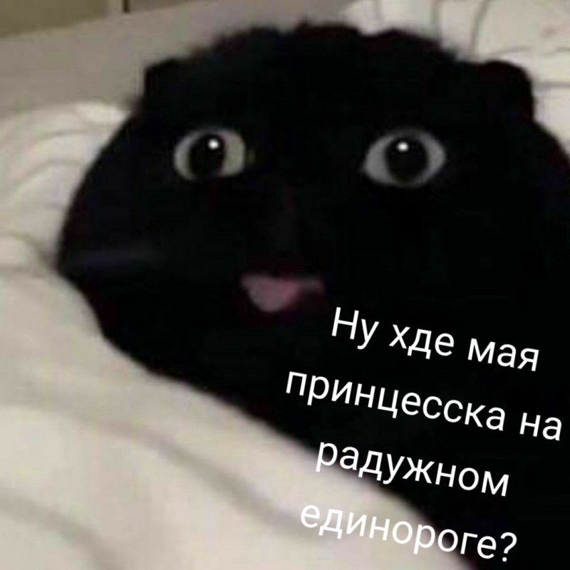 Черный котик с высунутым языком
